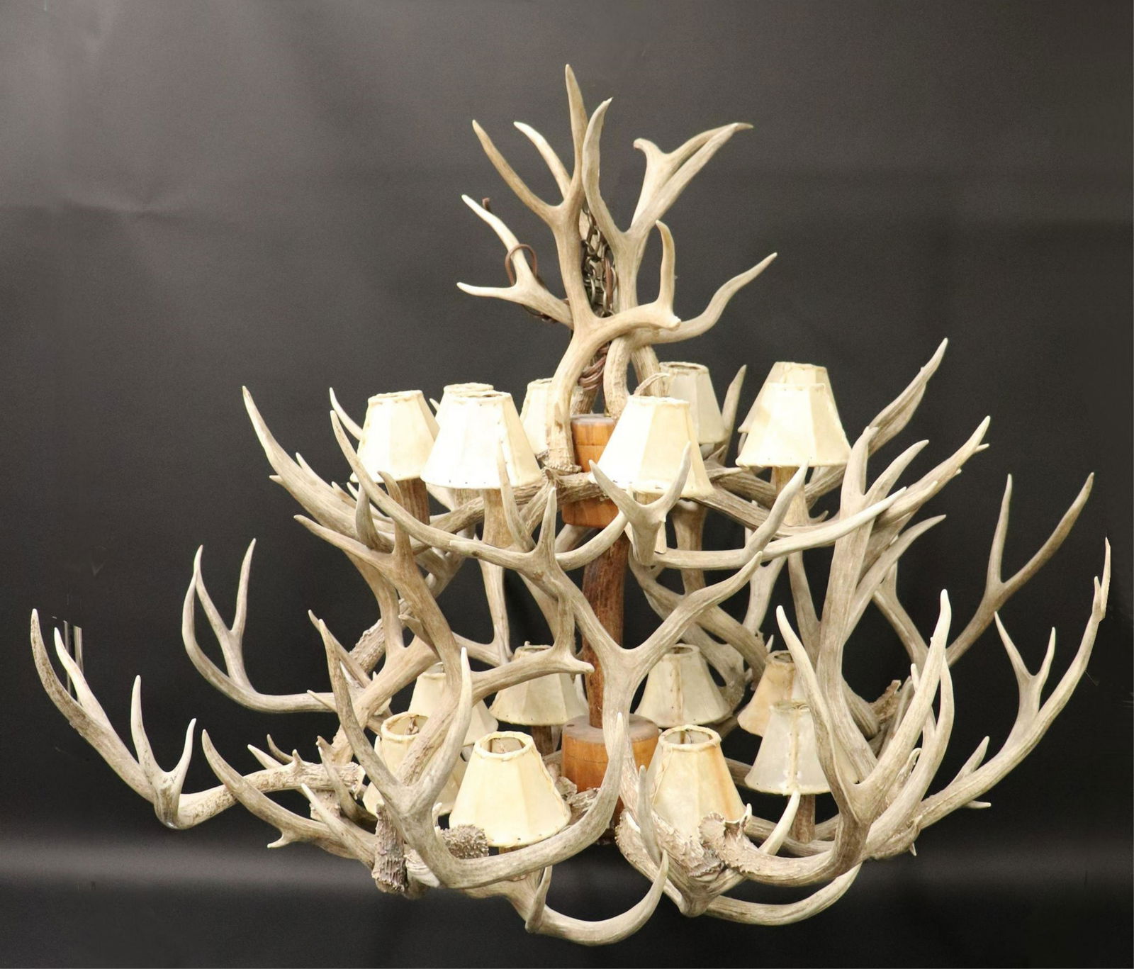 16 Light Large Elk Antler Chandelier (1 of 7)