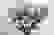 item-81430699=4