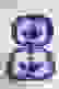item-81430708=3