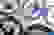 item-81430708=5