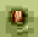 item-81431926=2