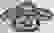item-84022171=2