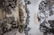 10 Lg Svg Pcs, Mulberry, Bochara, Ironstone Transf - 7