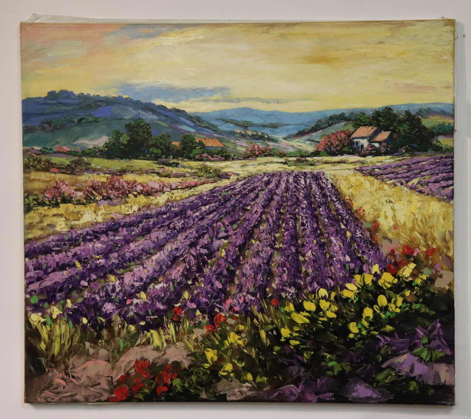 Peter van Berkel - Lavender Rows in Provence (1 of 4)