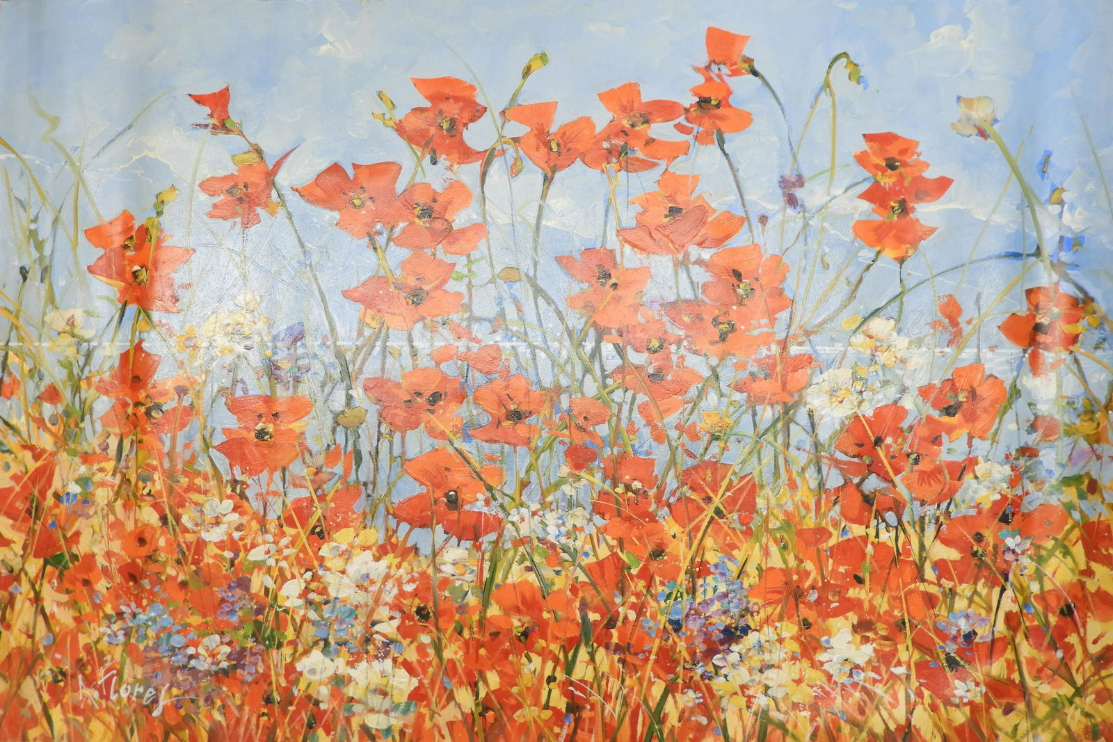 A. Flores -  Red Poppies in the Field (1 of 6)