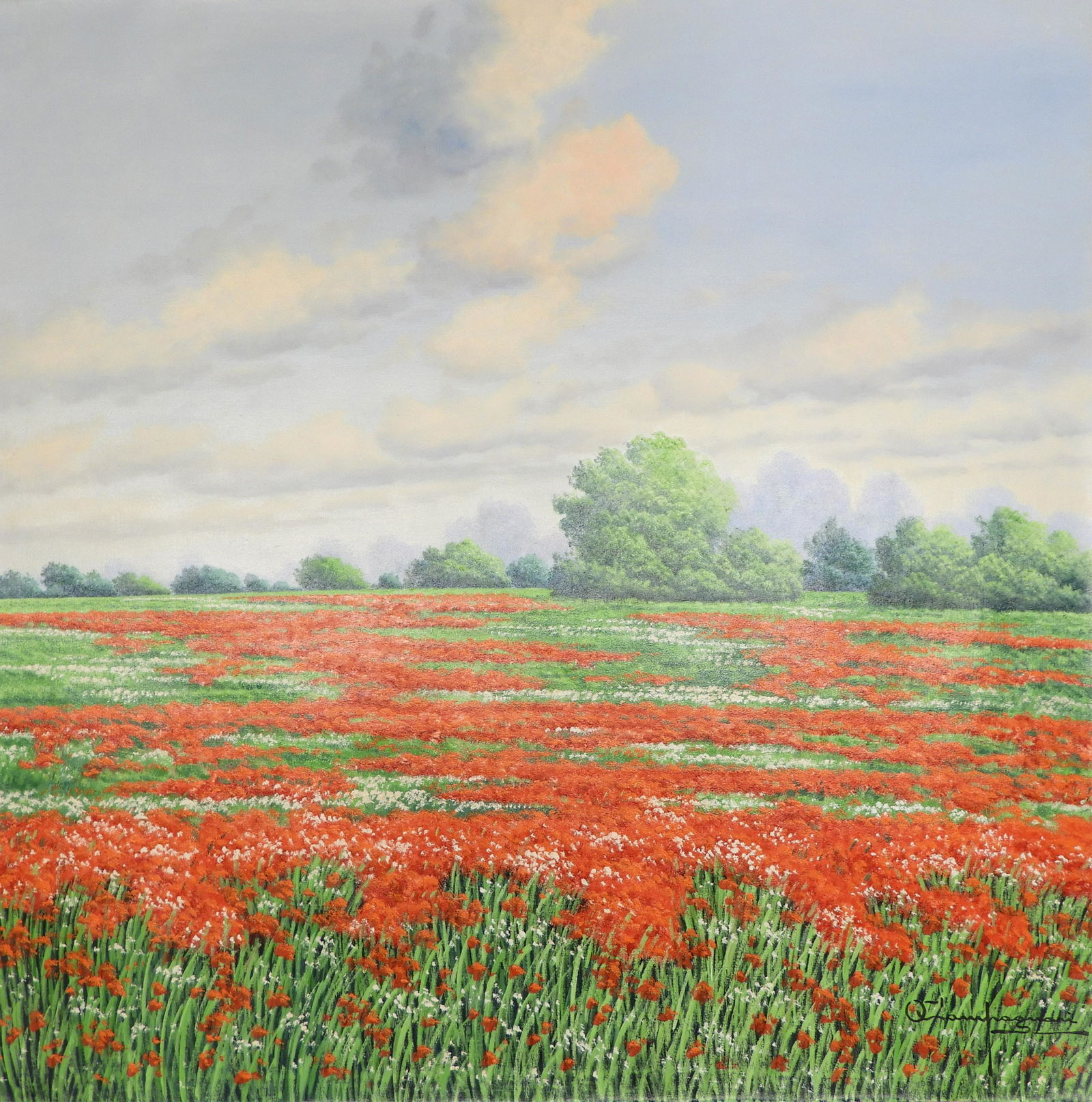 Otto Campagnari - Poppy Fields III (1 of 7)