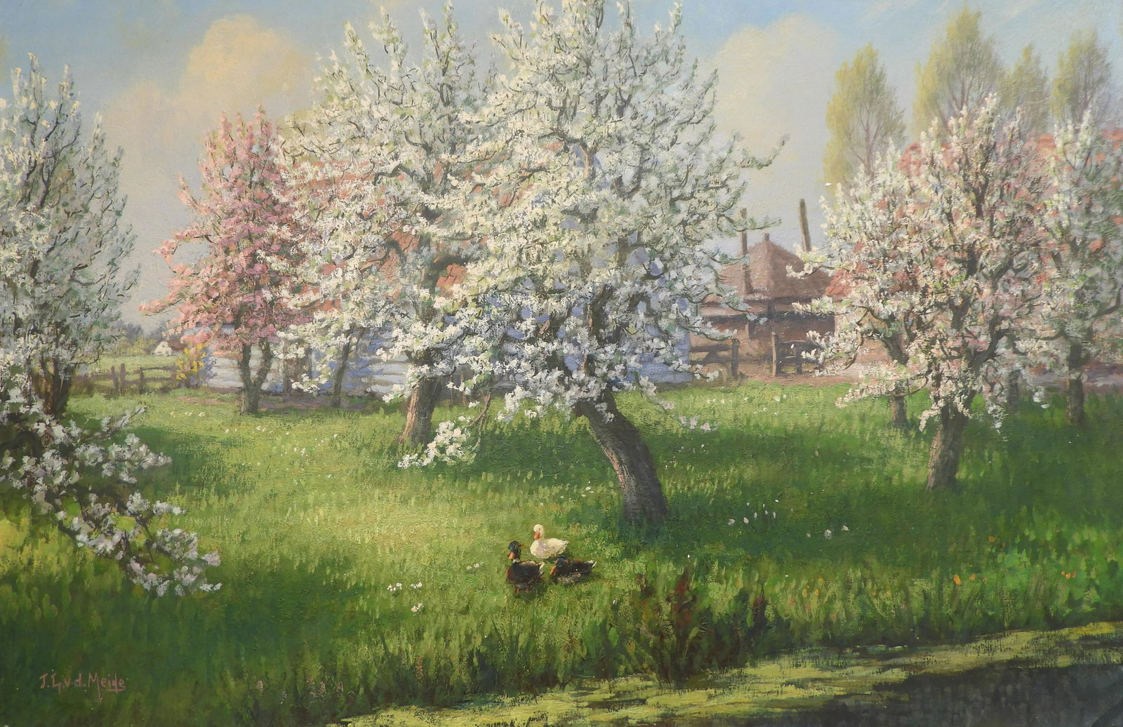 JL van der Meide - Blossom Trees (1 of 6)