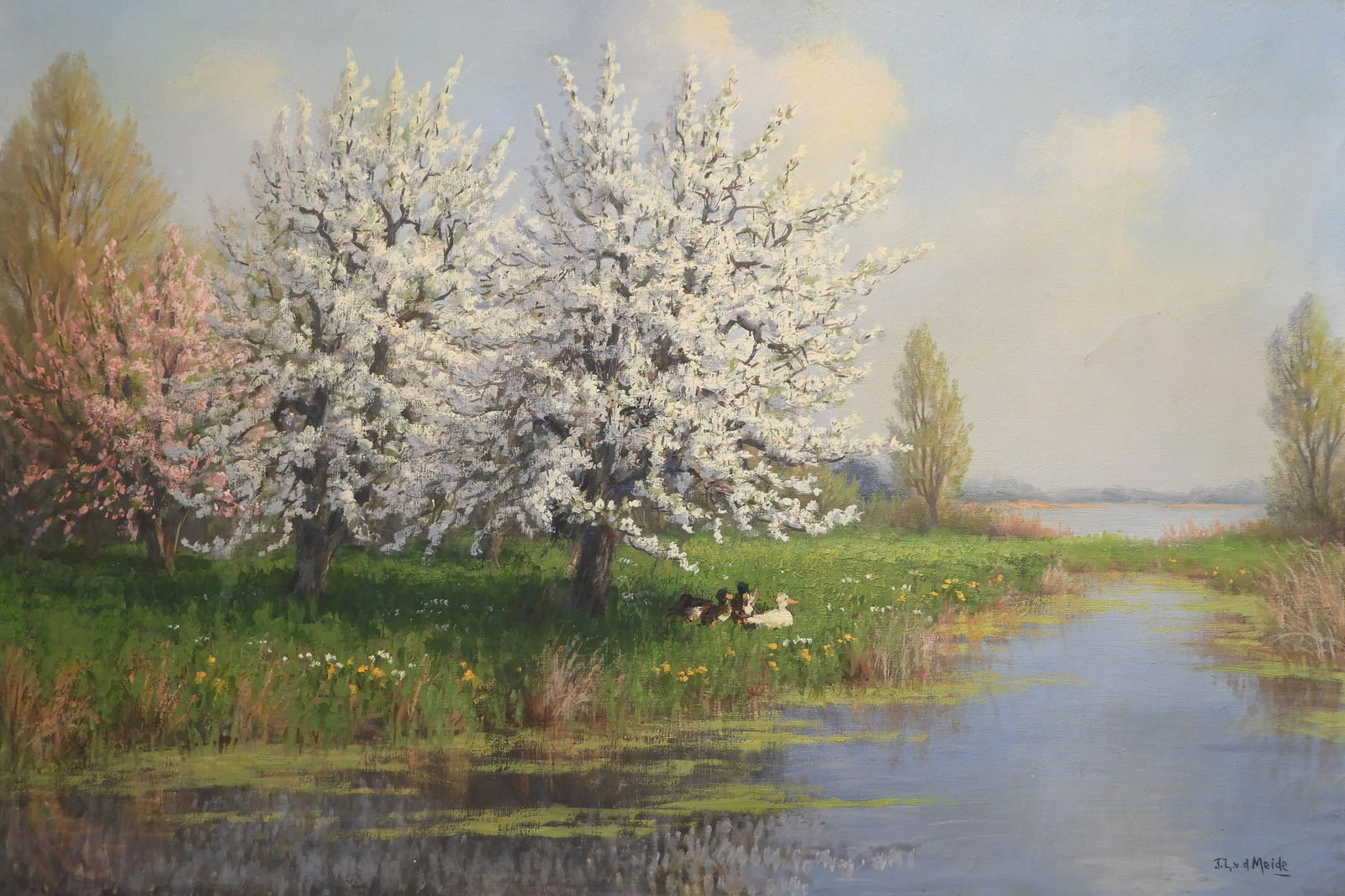 JL van der Meide - Lakeside Ducks (1 of 5)