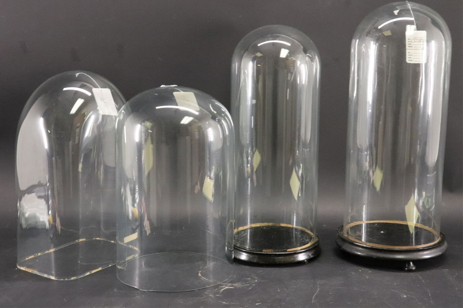 Four Glass Specimen Display Domes (1 of 5)
