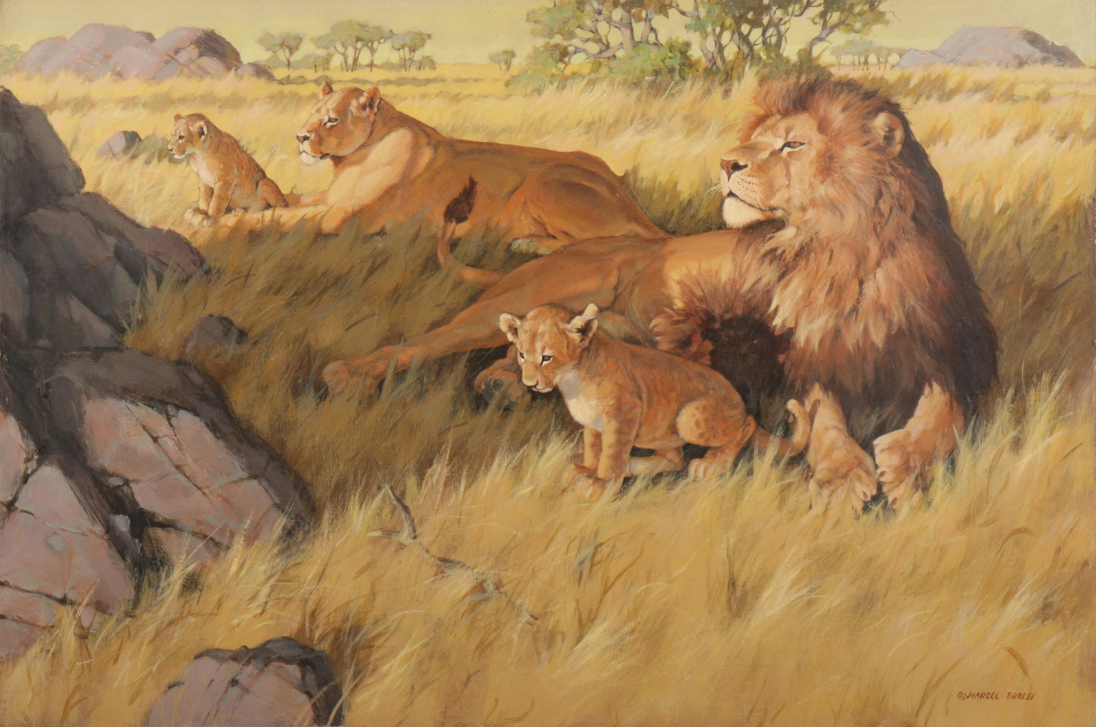 Marcel Bordei - Pride of Lions O/B: Marcel ‘Marc’ Bordei (Romanian American, b. 1955) Oil on board depicting lion pride in savanna. Signed lower right. Dimensions: 24 x 36" unframed Property from a fourth generation gallery, NYC (HE