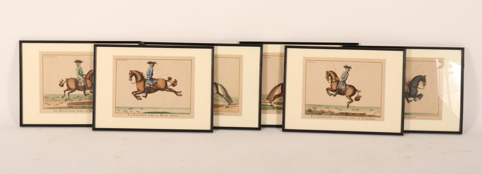 6 Lipizzaner Color Prints (1 of 11)