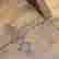 item-93906394=3