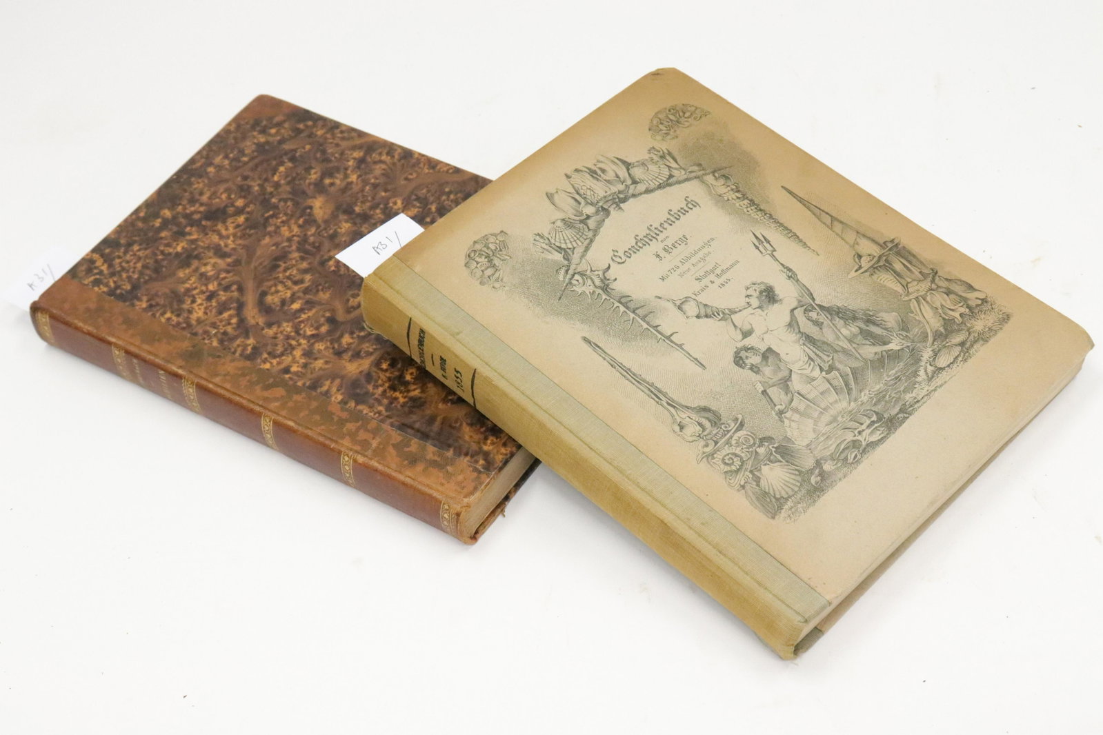 Reichenbach. Conlichen. 1842 + one other: A.B. Reichenbach. Die Land- , Susswasser- und See-Conlichen. Leipzig: 1842. Quarto. Hand-colored lithographed plates (plates shaved, some spotting). 19th-century leather-backed boards, spine gilt. F. 