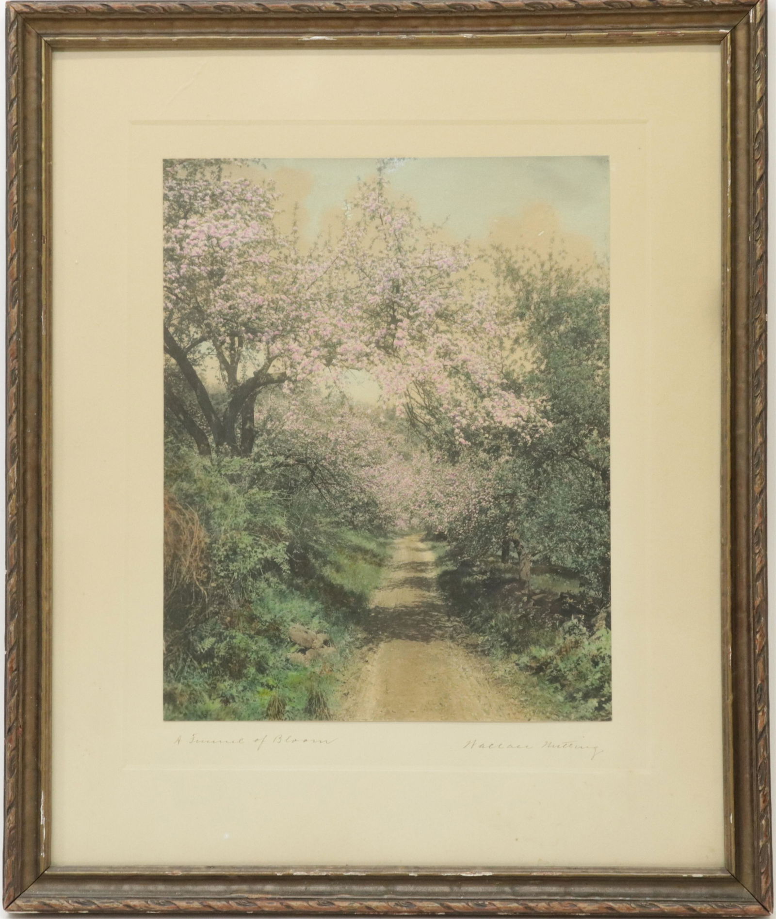 Wallace Nutting, Tunnel of Bloom (1 of 4)