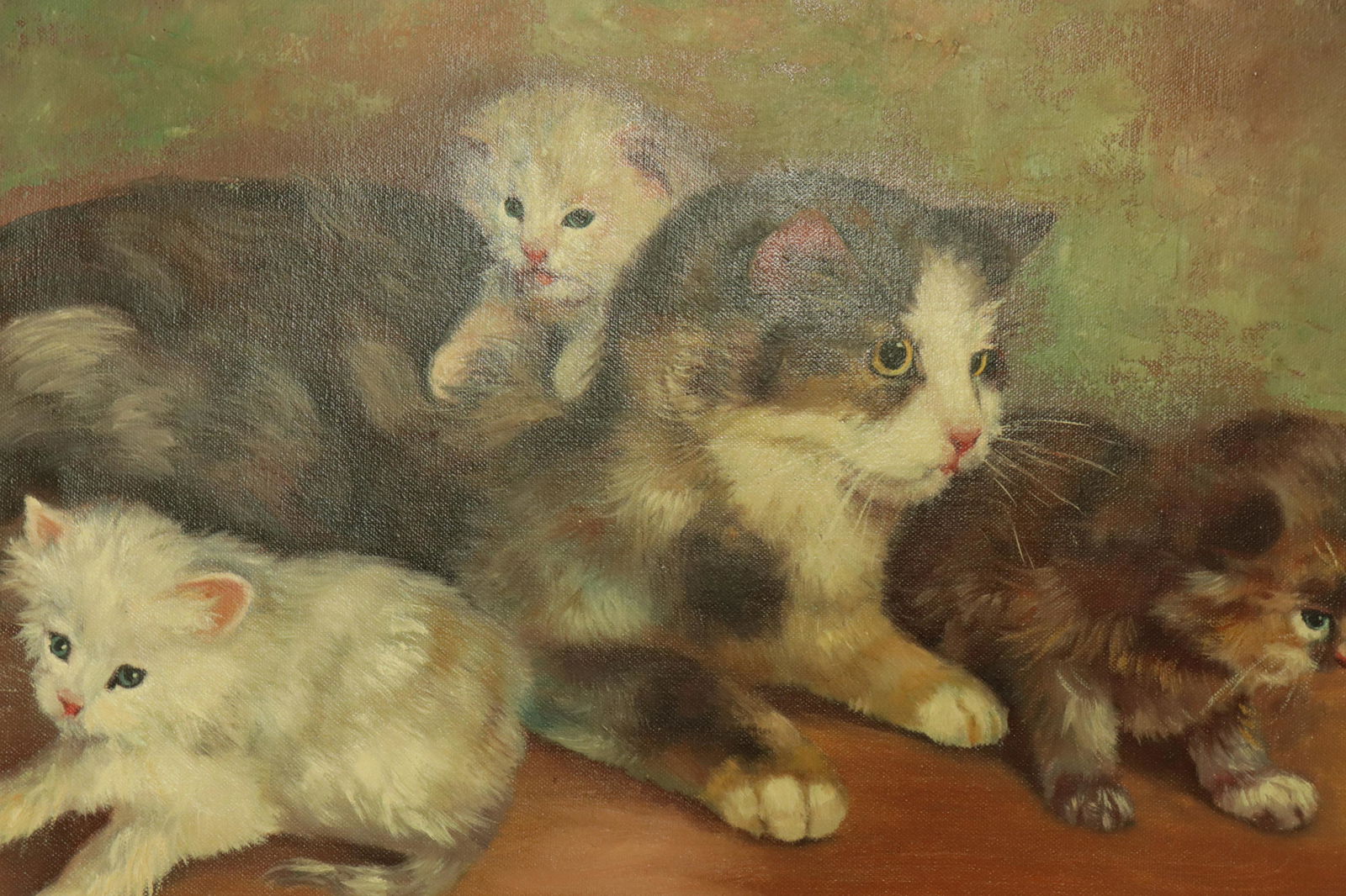 Willi Franken - Mother Cat & kittens (1 of 3)