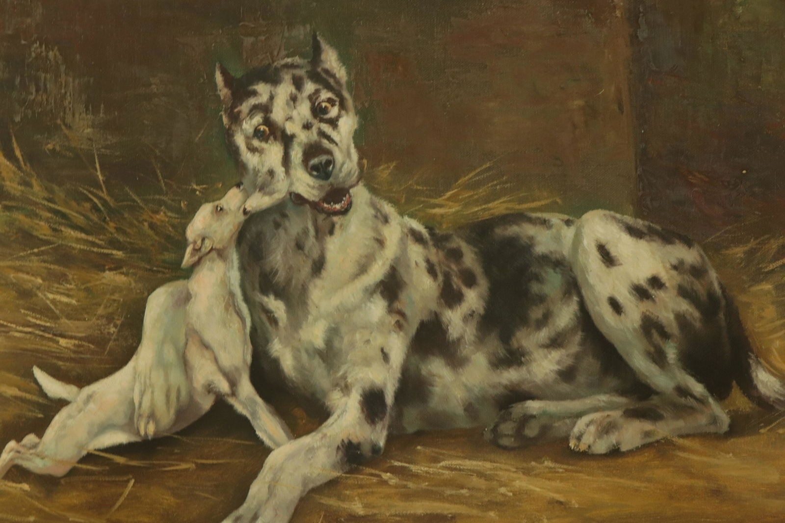 Willi Franken - Playful Pup (1 of 3)