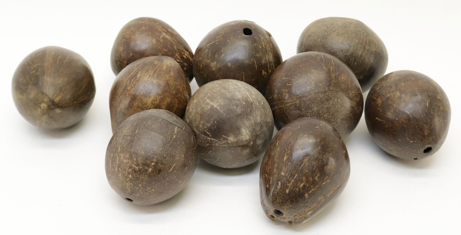 10 Dried Hollow Coconuts (1 of 1)
