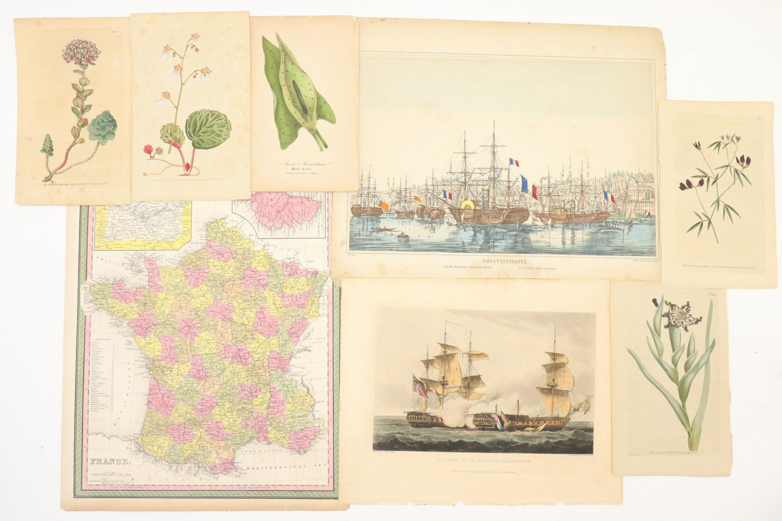 18th-19th C. Botanical and Nautical prints (1 of 9)