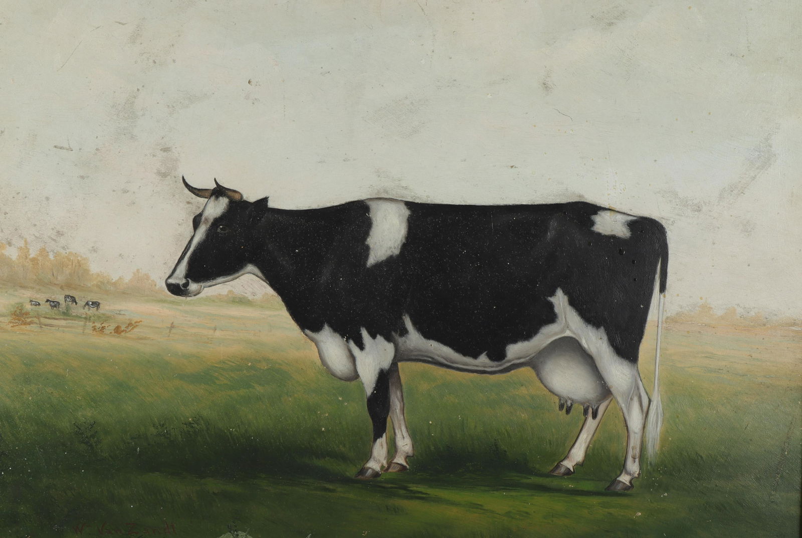 W. Van Zandt - Black & White Cow, 1892 (1 of 6)