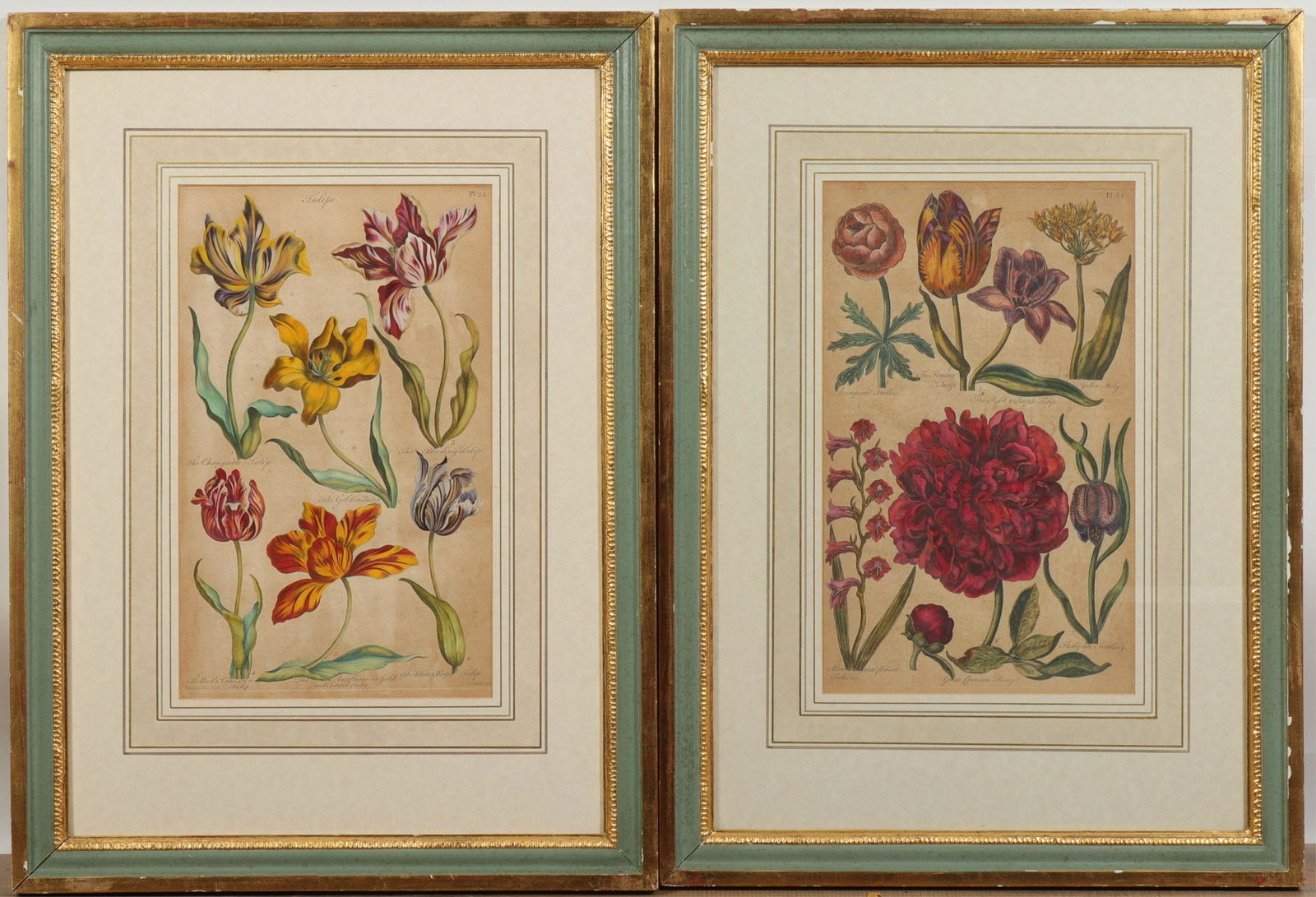 Vanhuysum & Other, Hand colored Plates (1 of 6)