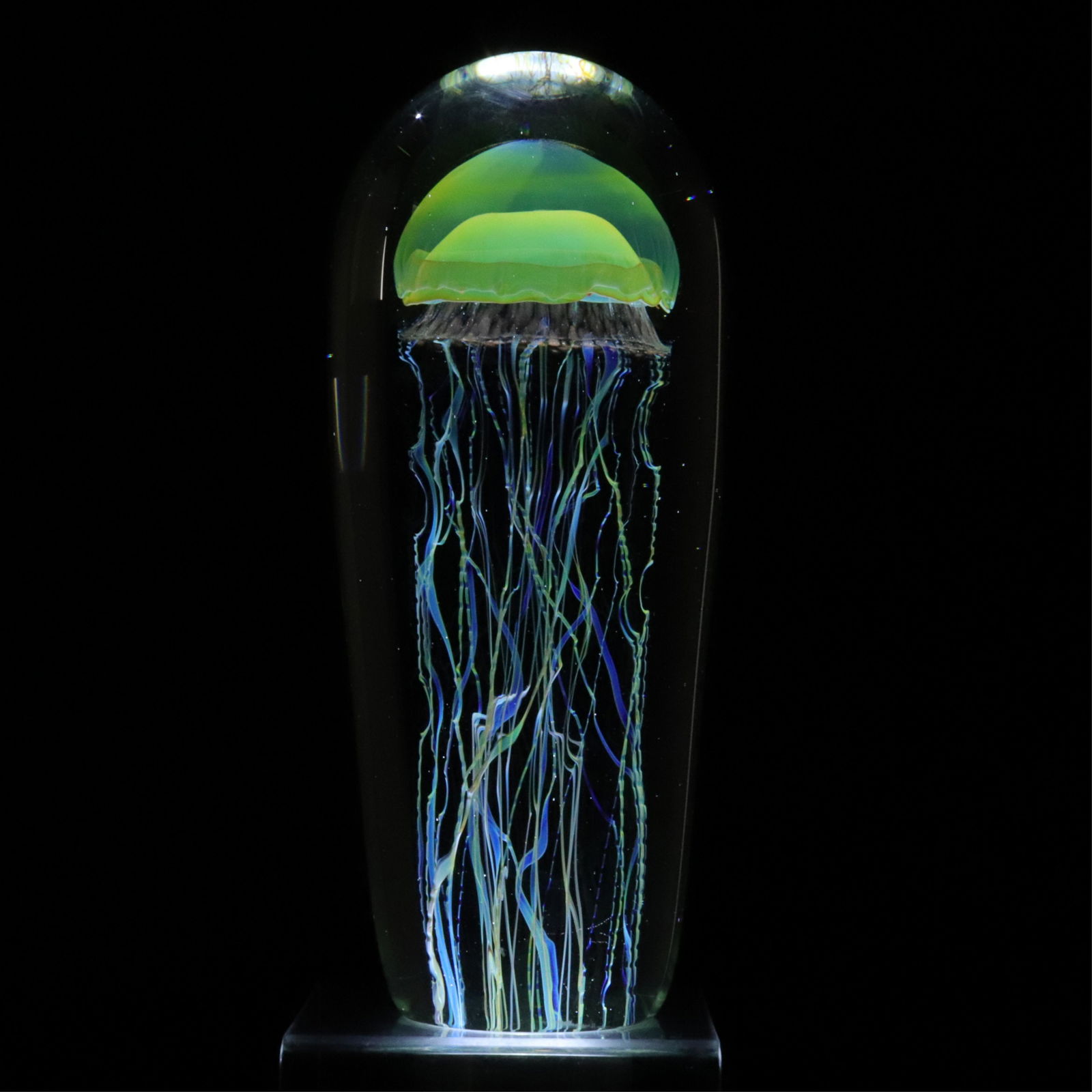 Two Richard Satava Jellyfish Paperweights (1 of 11)