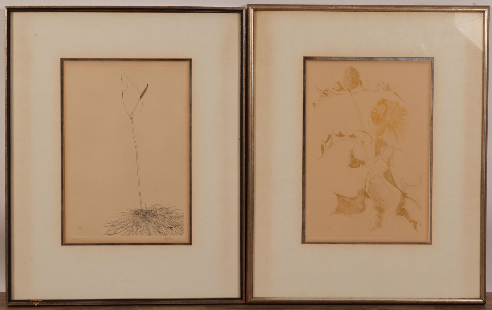 Leonard Baskin, 2 Floral/Wildflower Engravings (1 of 6)