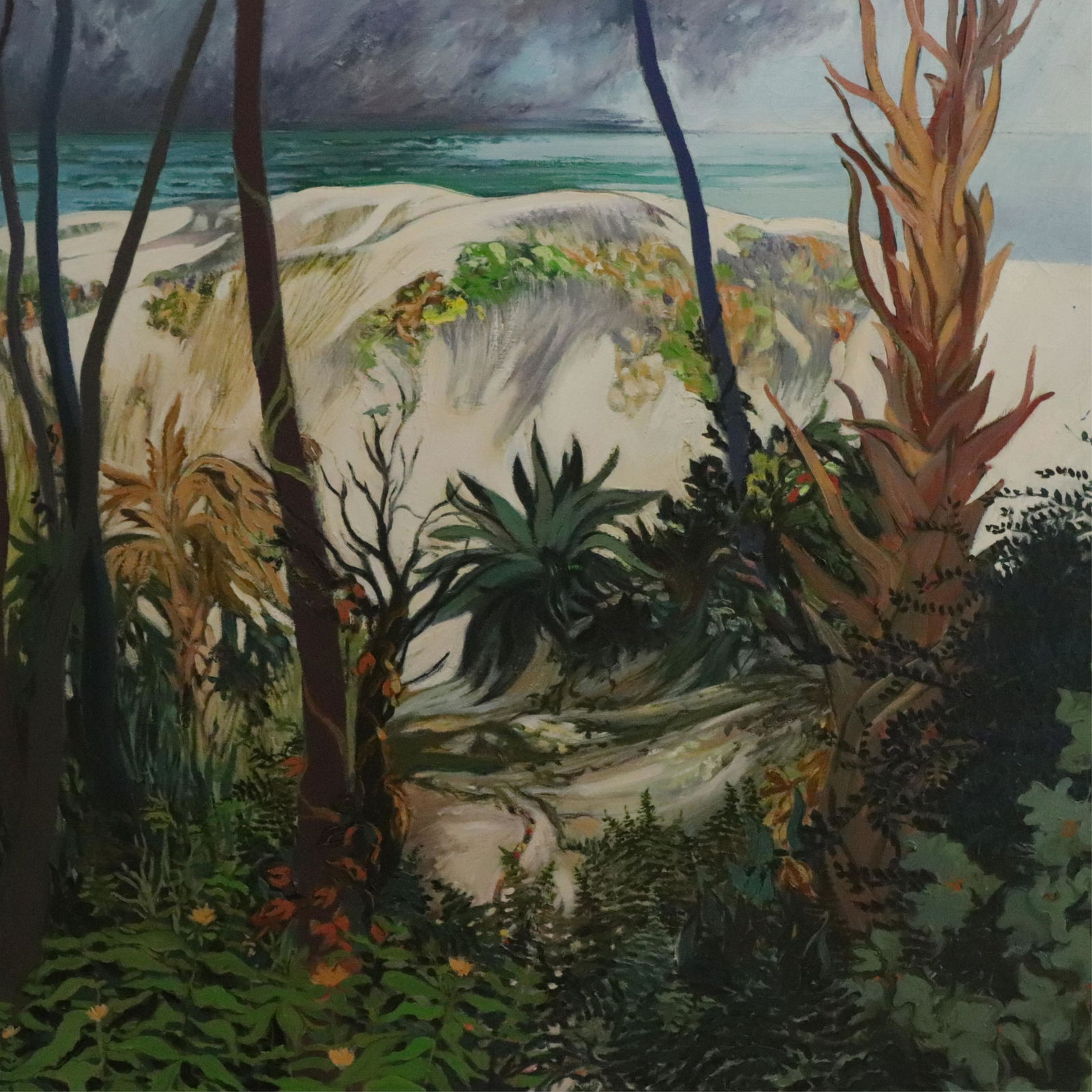 Tropical Vegitation & Ocean - O/C (1 of 2)