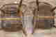 item-101673528=7