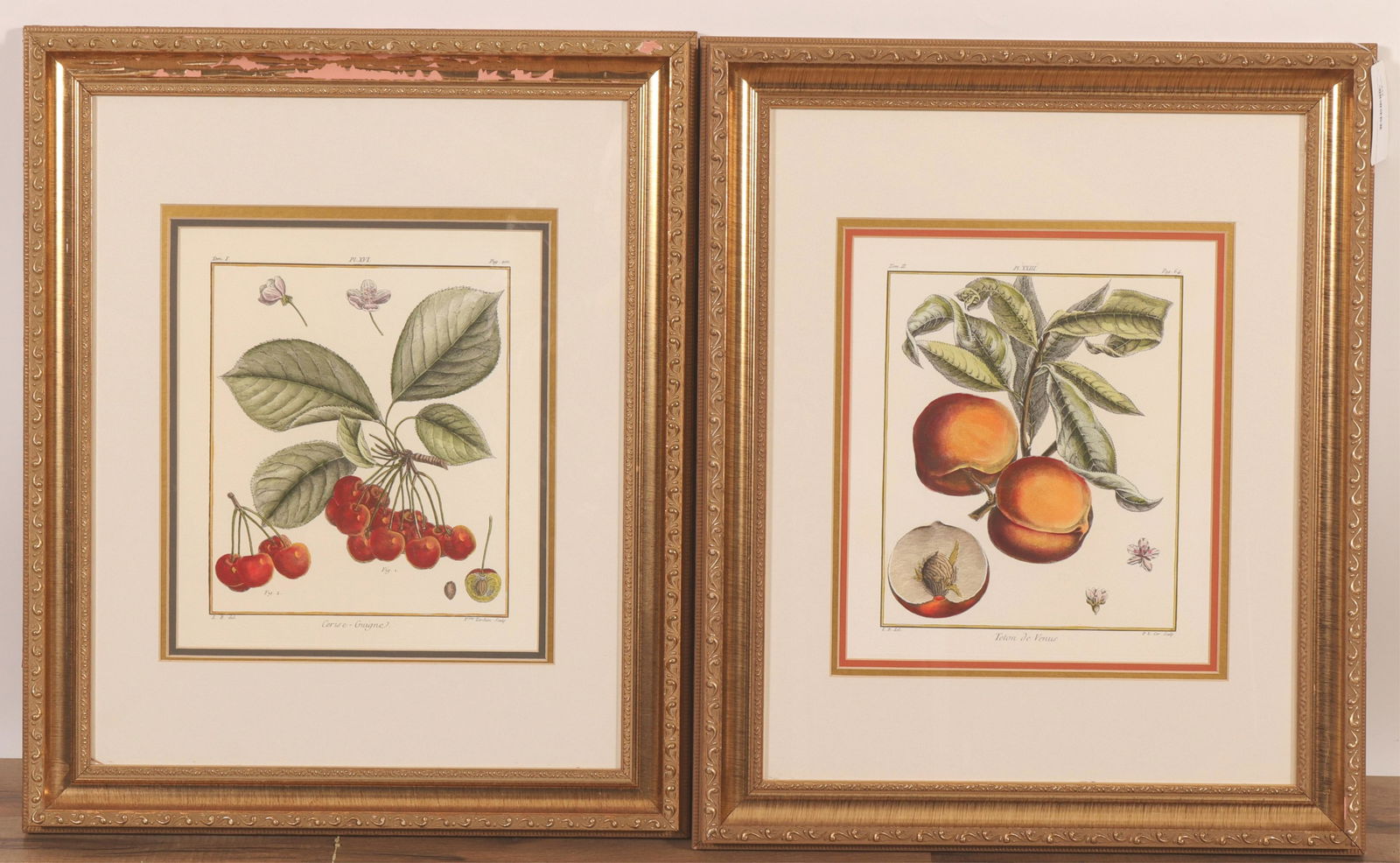 Two Hand Colored Botanical Lithographs (1 of 5)