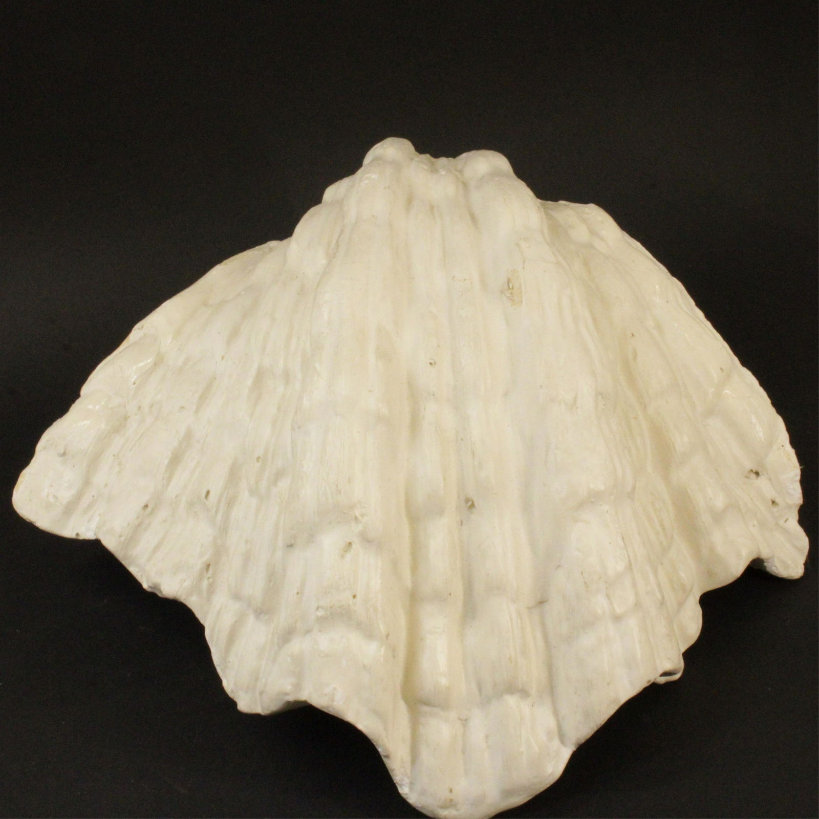 Serge Roche Style Plaster Shell-Form Wall Light (1 of 4)