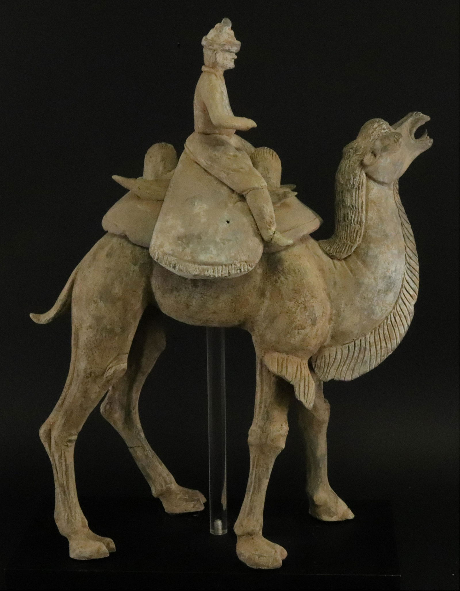 Chinese Terracotta Camel (1 of 19)
