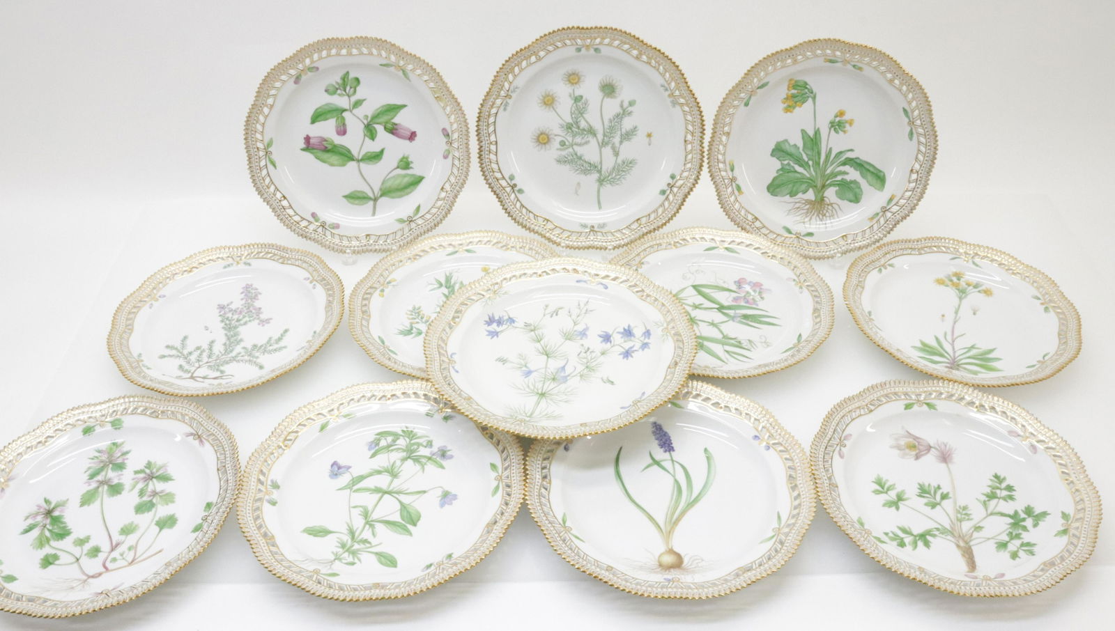 12 Flora Danica Porcelain Plates, Royal Copenhagen (1 of 14)