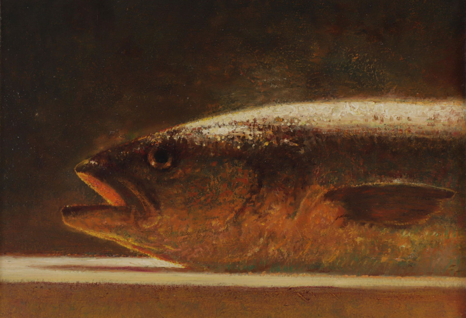 James Del Grosso, Bluefish, O/B (1 of 6)