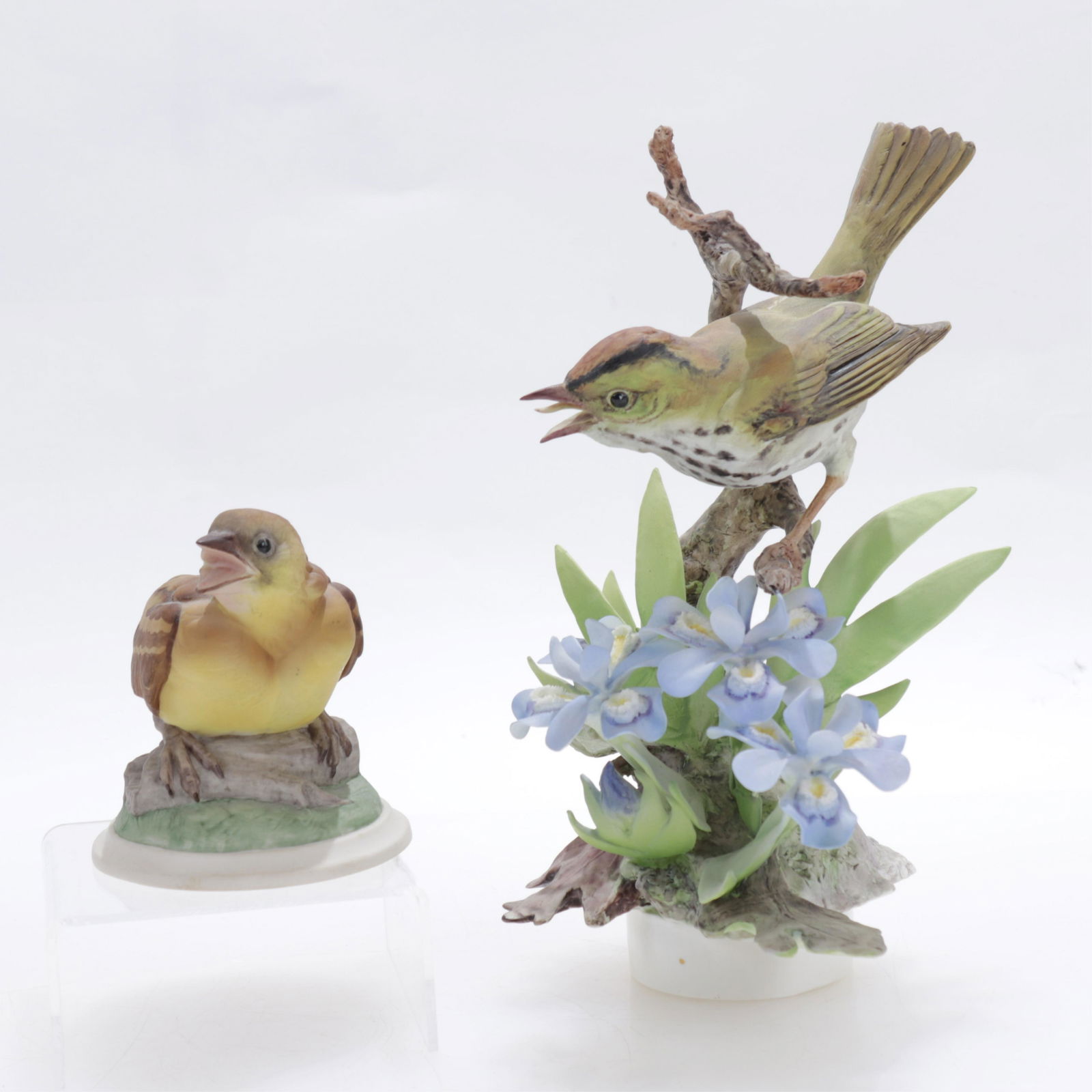 Dorothy Doughty & Boehm Porcelain Bird Groups (1 of 7)