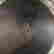 item-120621737=3