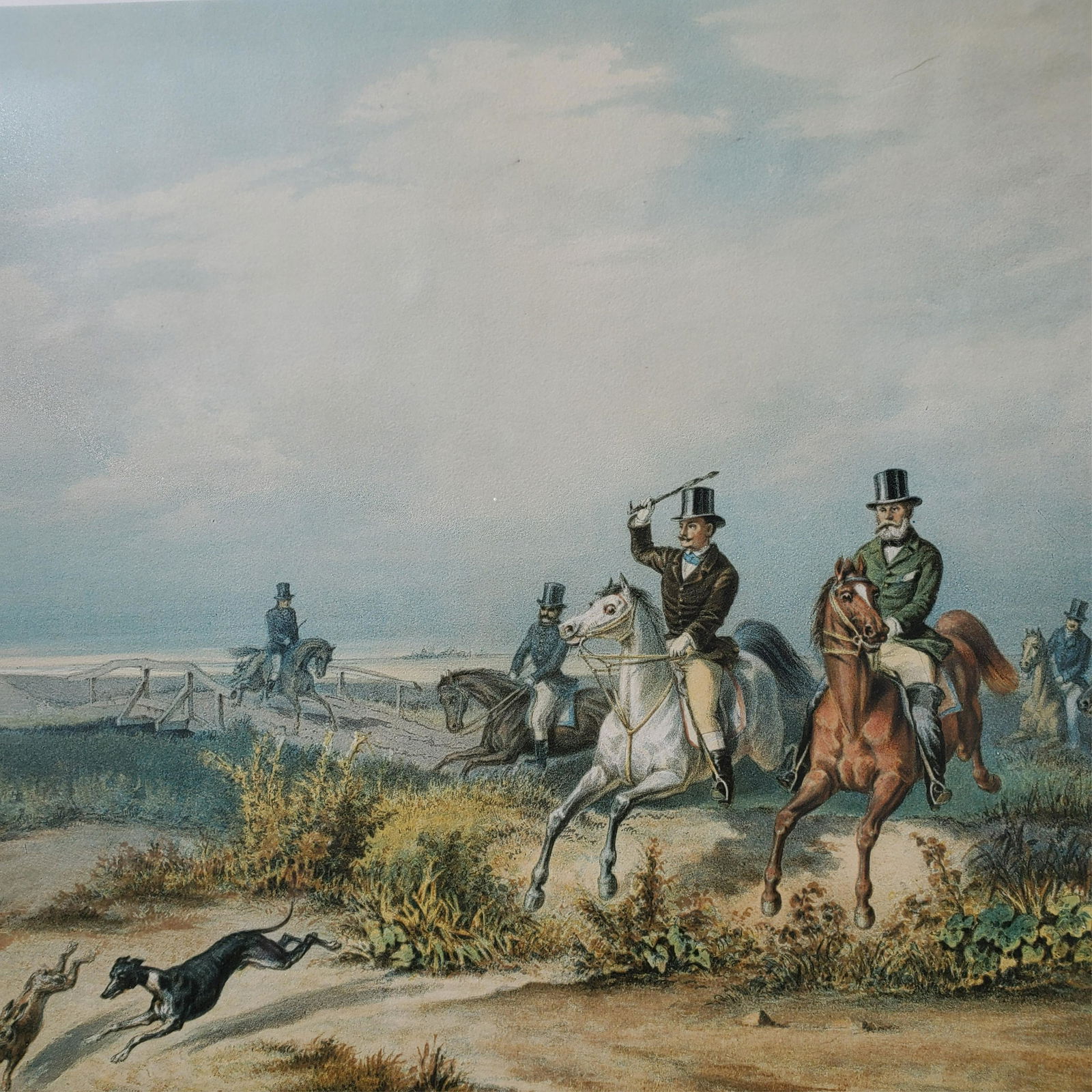 Framed Print of Rabbit Hunt (1 of 6)