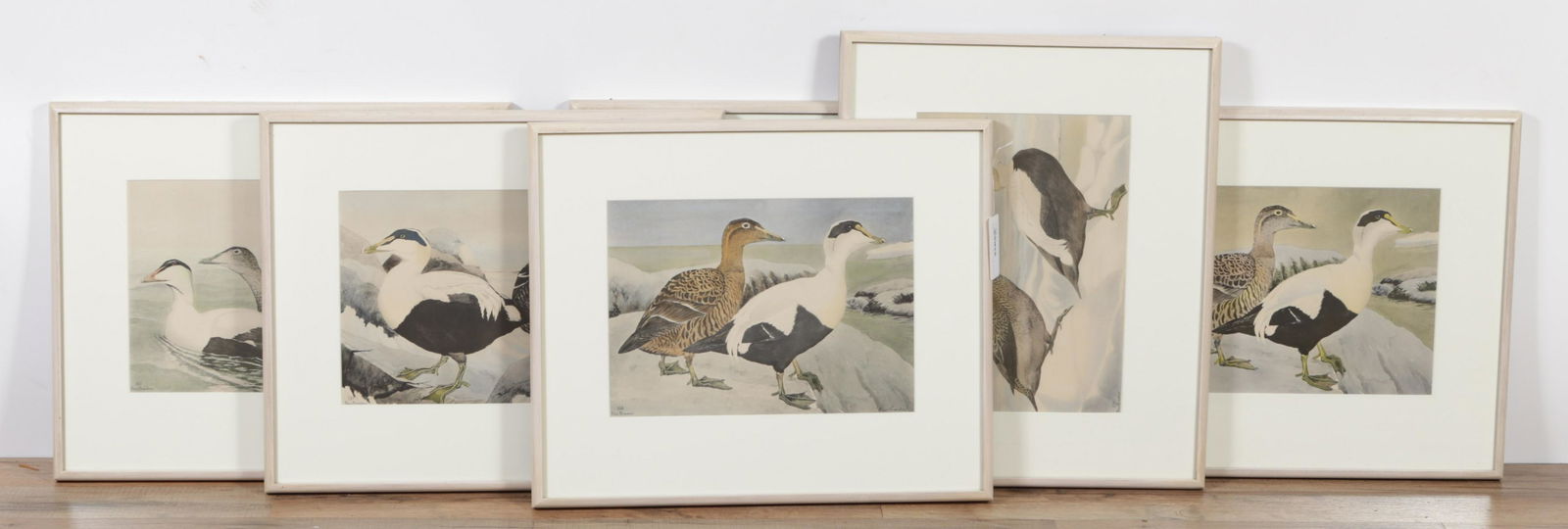 Set of 6 Water Fowl Prints, after Rex Brasher (1 of 10)