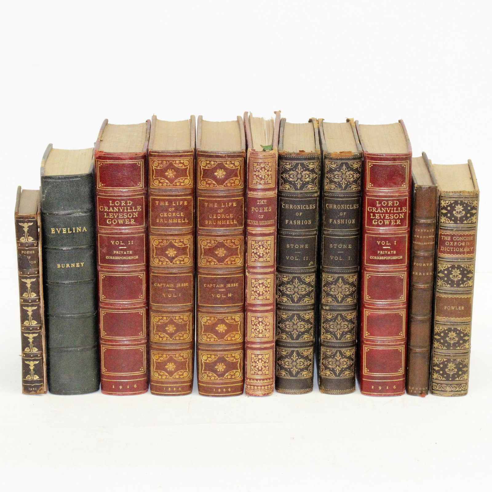 Leather Bound Fine Volumes (1 of 10)