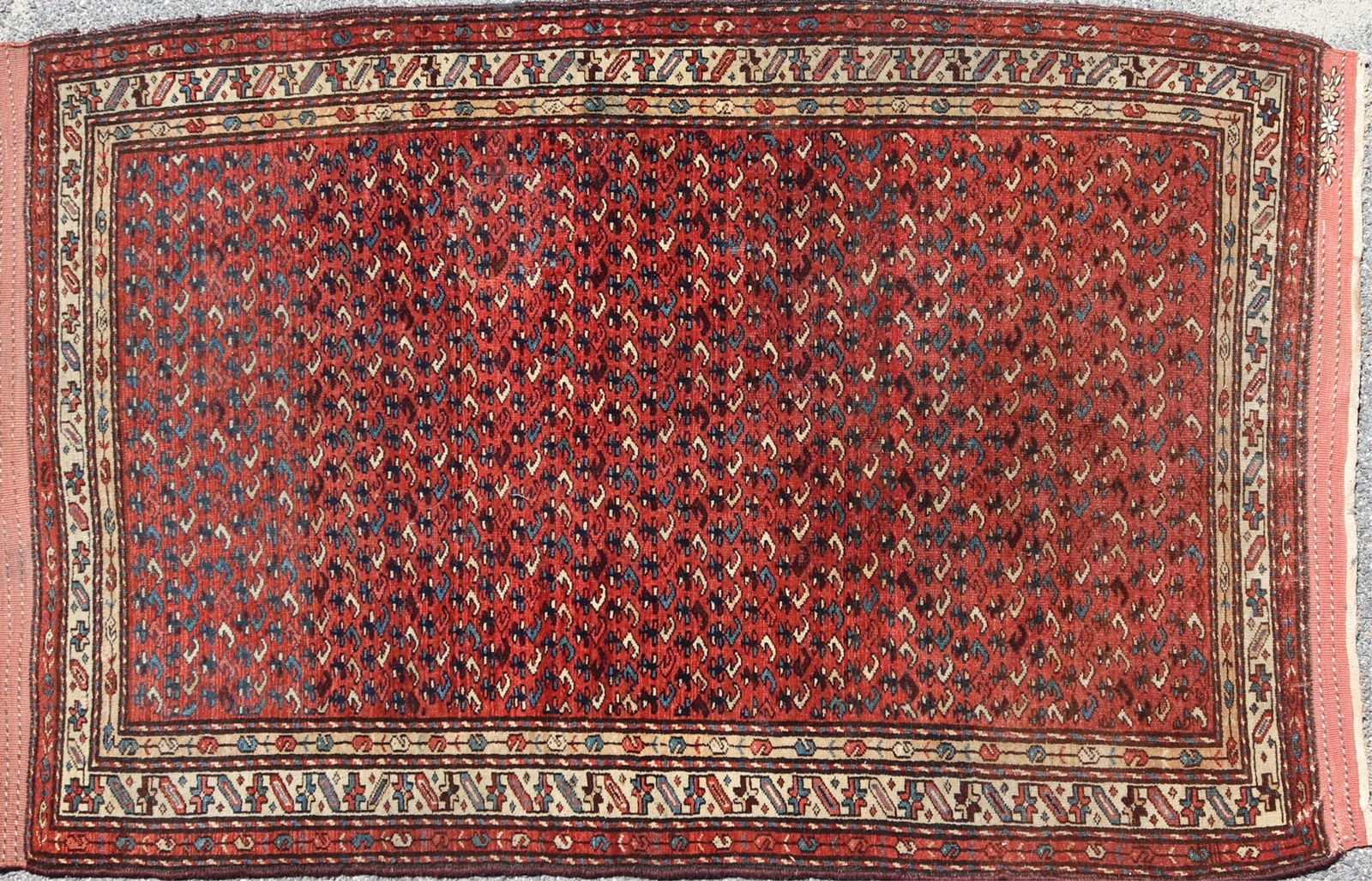 Persian Wool Rug 4-5 x 7-3 (1 of 7)