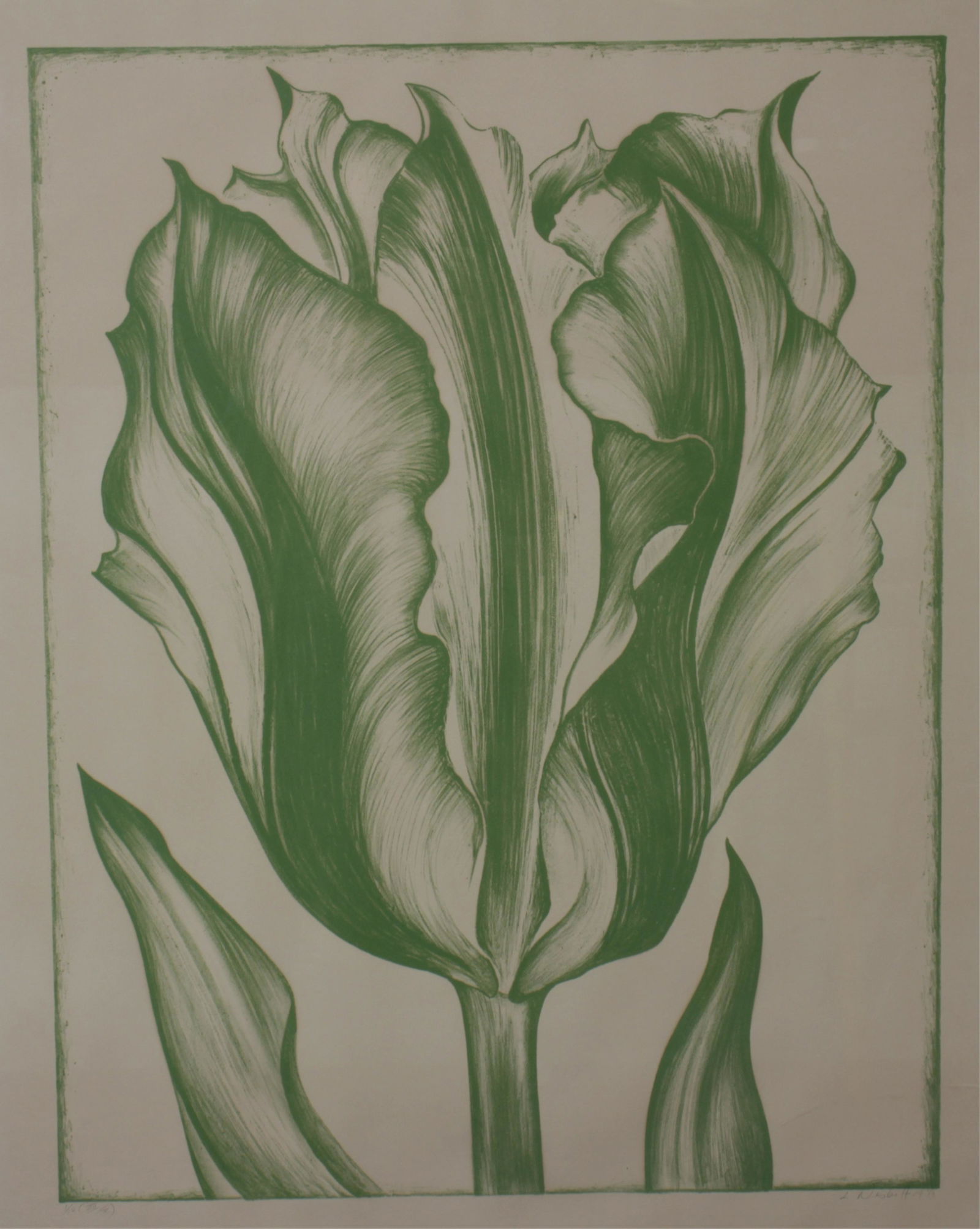 Lowell Nesbitt - Tulip (Lt. Green) c 1971 Print (1 of 7)