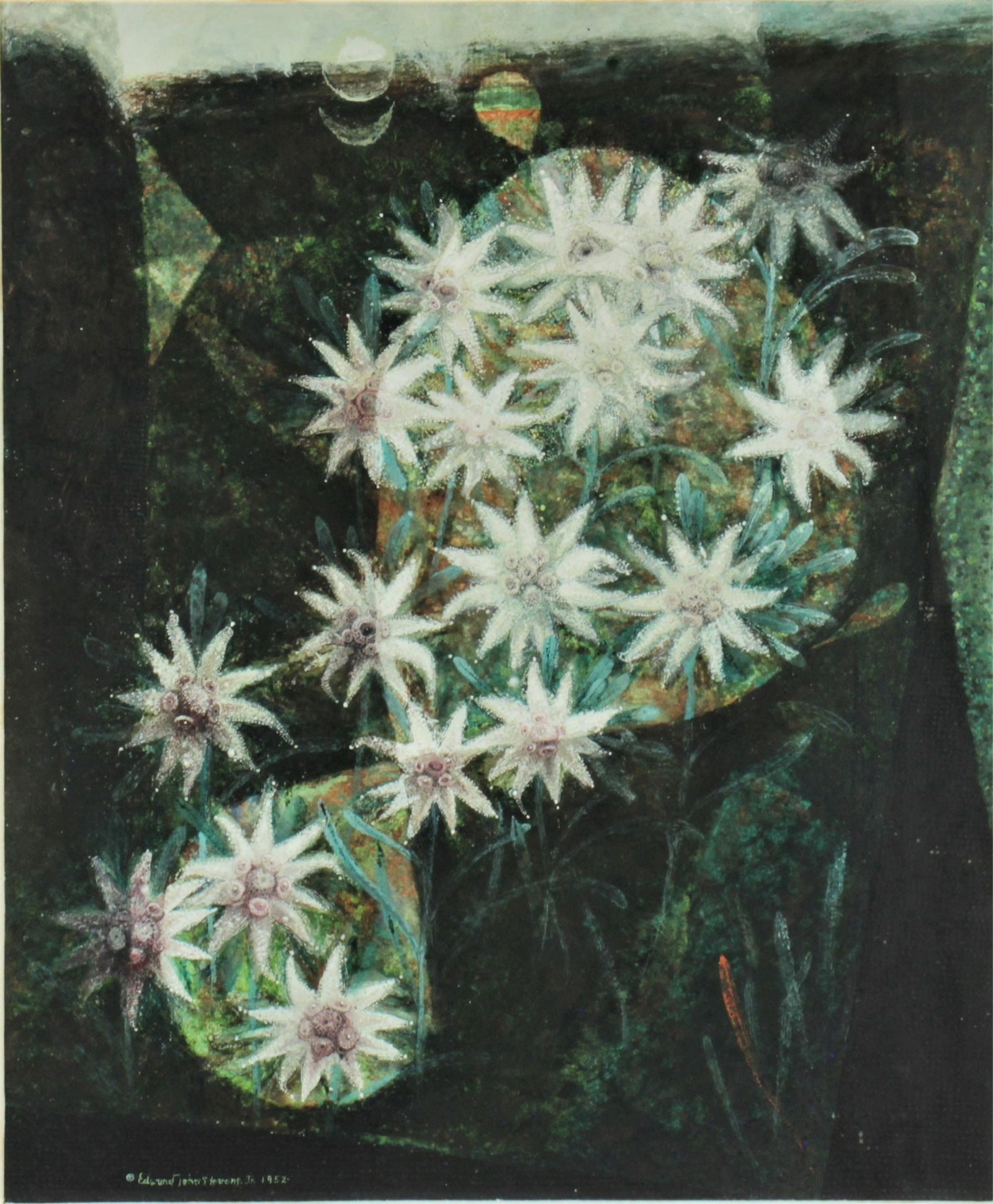 Edward John Stevens - Water Lilies - Gouache (1 of 5)