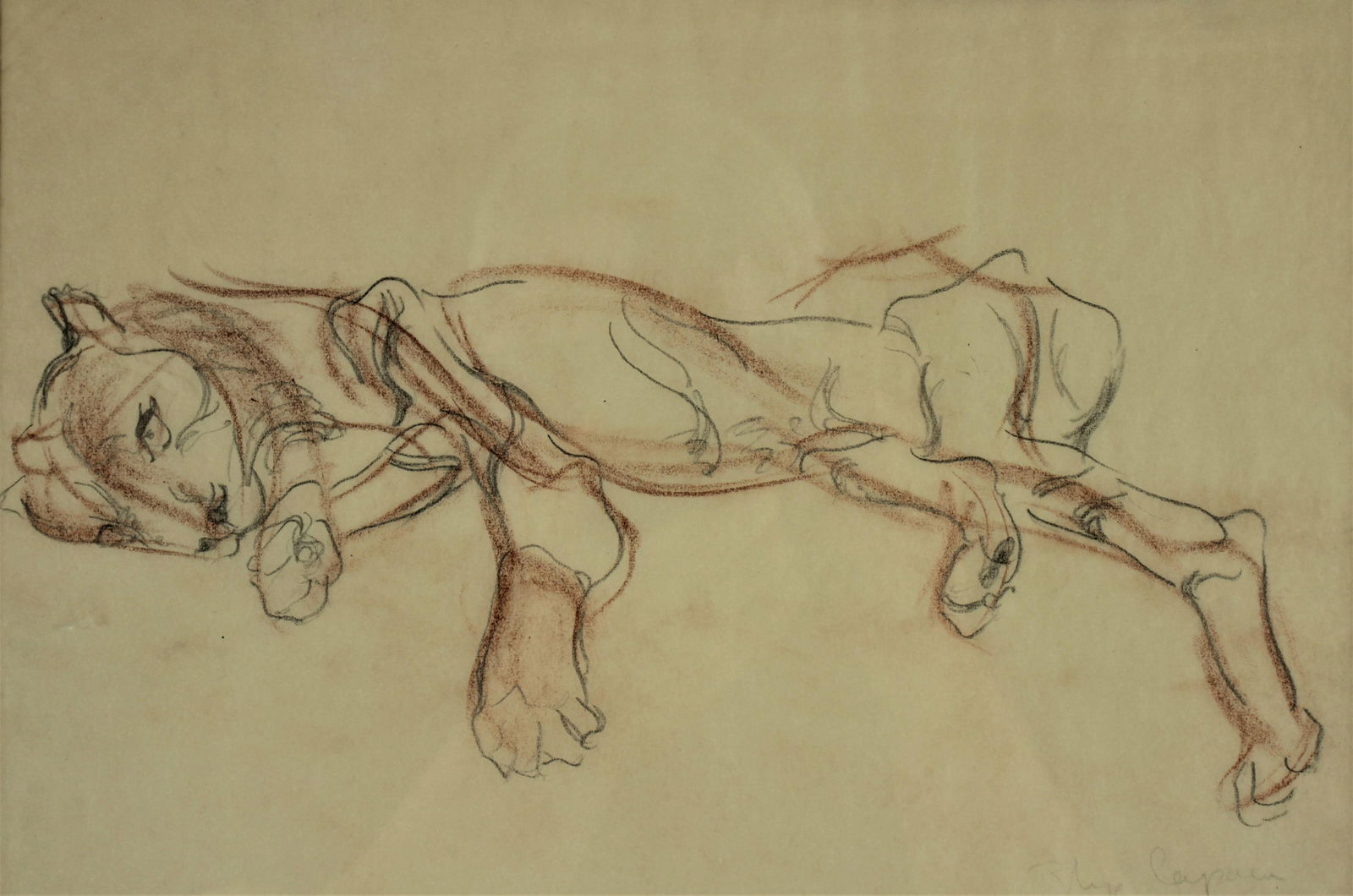 Rhys Caparn - Creeping Cat - Drawing (1 of 5)