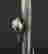 item-129698435=4