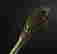 item-129698446=9