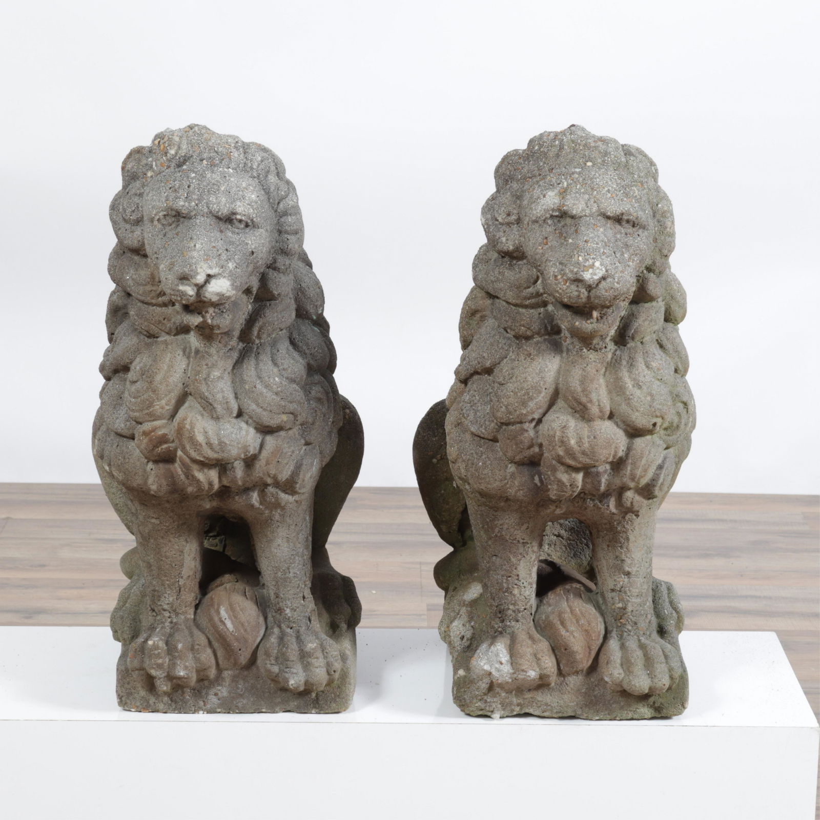 Early 20th C. Pr. of Small Cast Stone Seated Lions (1 of 6)