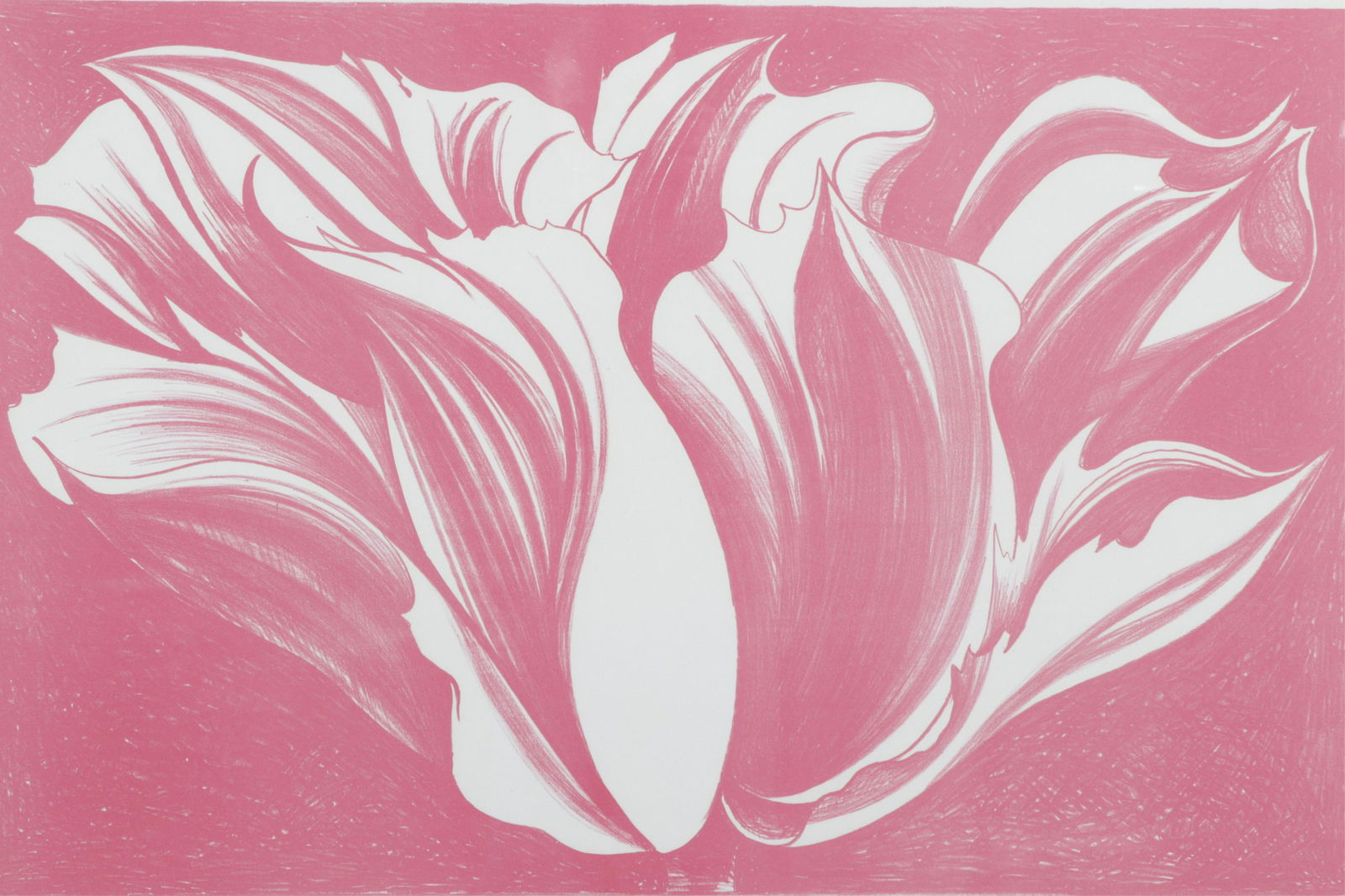Lowell Nesbitt - Pink Tulip (1 of 7)