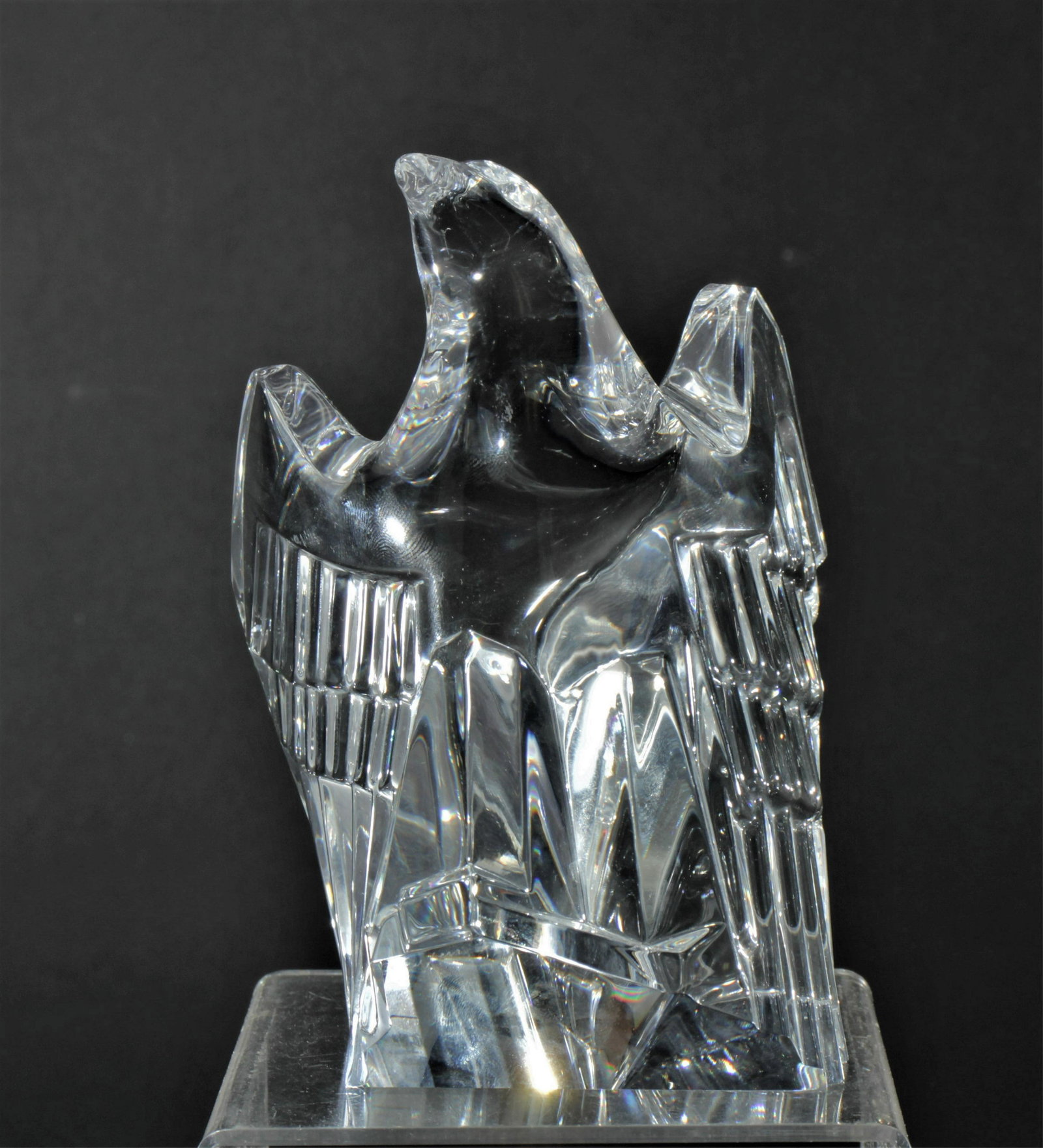 Steuben Eagle (1 of 4)