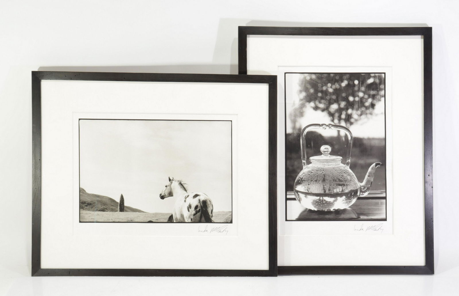 Linda McCartney -Teapot - Horse - lithograph (1 of 12)