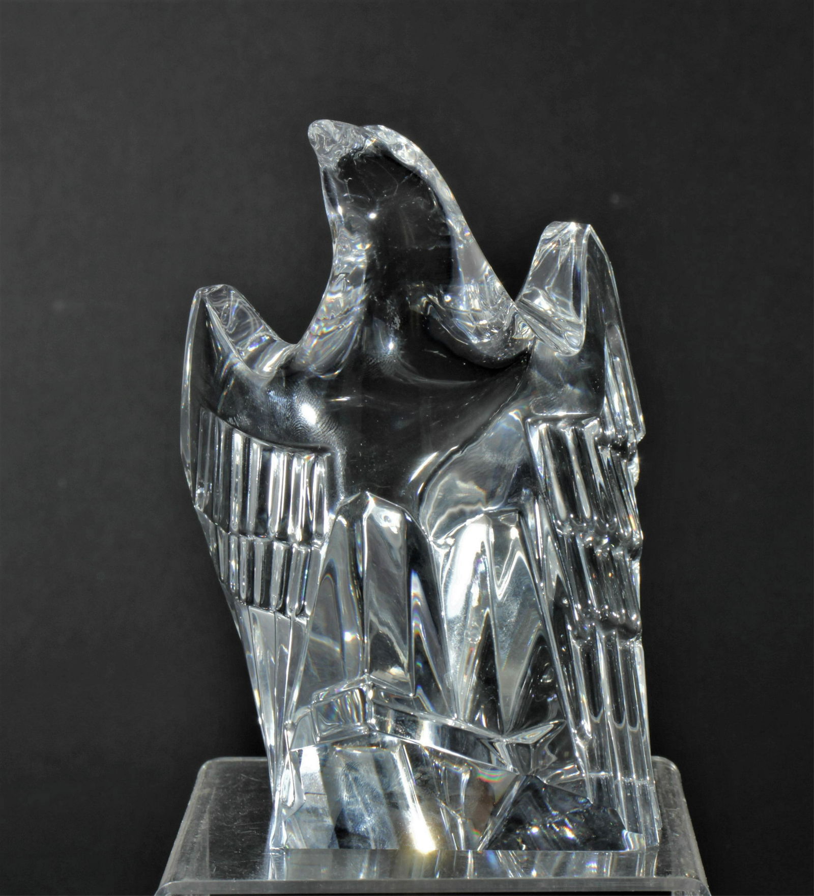 Steuben Eagle (1 of 4)