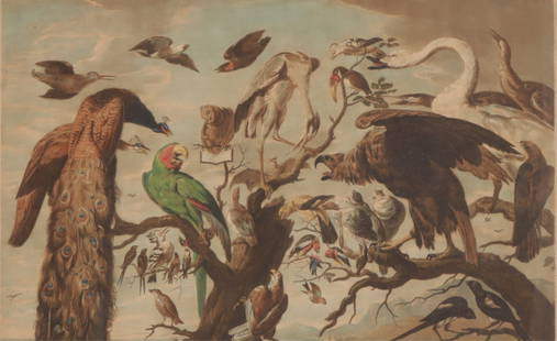 After Frans Snyders - The Concert of the Birds: Richard Earlom (1743 - 1822), after Frans Snyders (1579 - 1657). The Concert of the Birds, hand-colored engraving. Incorrectly attributed to Mario di Fiori.John Boydell, London: December 1, 1778.16.5